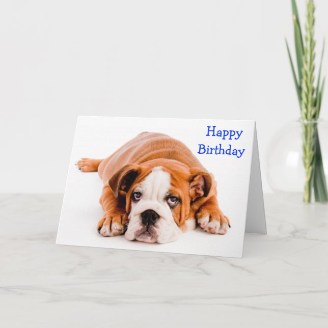 Grattis på födelsedagen Bulldog Greeting Card - Ve Kort (Framsida)
