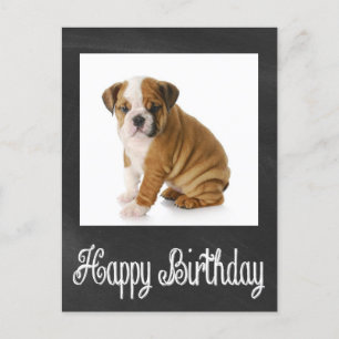 Grattis på födelsedagen Bulldog Puppy Chalkboard-v Vykort