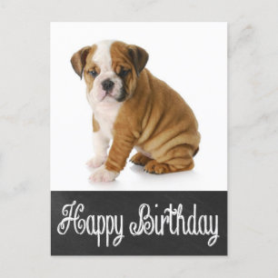 Grattis på födelsedagen Bulldog Puppy Chalkboard-v Vykort