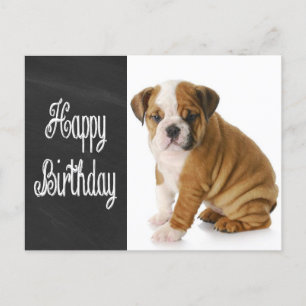 Grattis på födelsedagen Bulldog Puppy Chalkboard-v Vykort