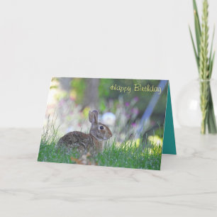 Grattis på födelsedagen Bunny Kort