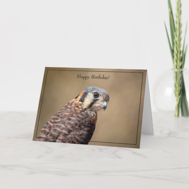 Grattis på födelsedagen Card American Kestrel Kort (Framsida)