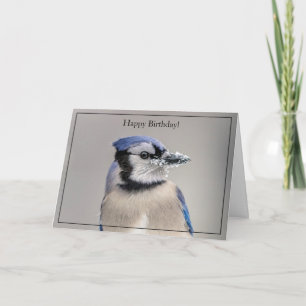 grattis på födelsedagen Card Blue Jay Kort