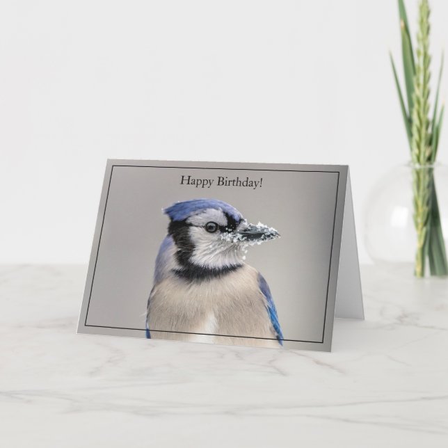 Grattis på födelsedagen Card Blue Jay Kort (Framsida)