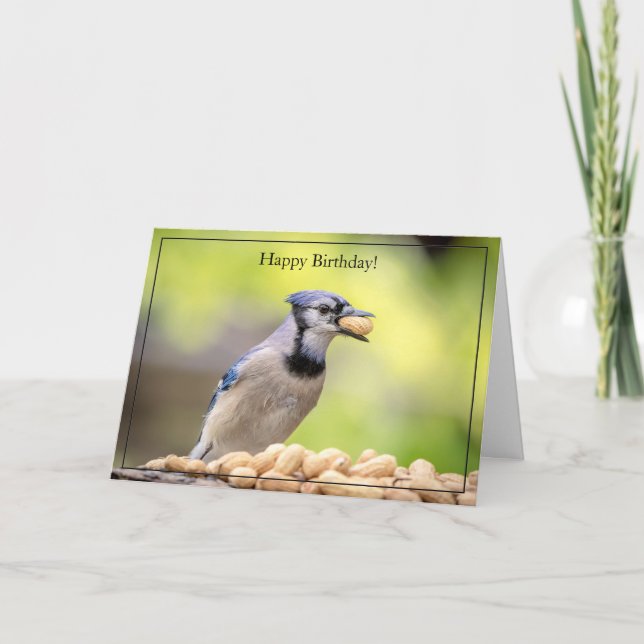 Grattis på födelsedagen Card Blue Jay Kort (Framsida)
