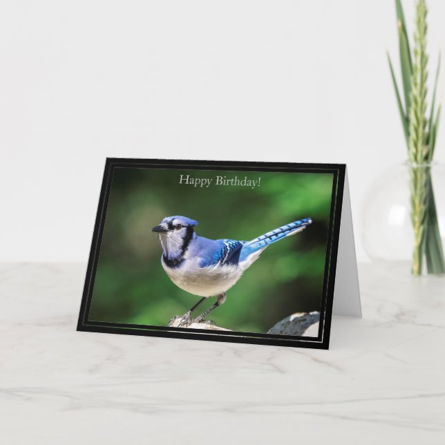 Grattis på födelsedagen Card Blue Jay Kort (Framsida)