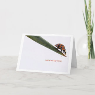 Grattis på födelsedagen Card Ladybird Kort