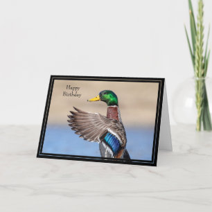 Grattis på födelsedagen Card Mallard Anka Kort