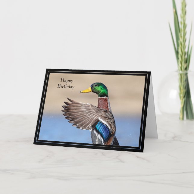 Grattis på födelsedagen Card Mallard Anka Kort (Framsida)