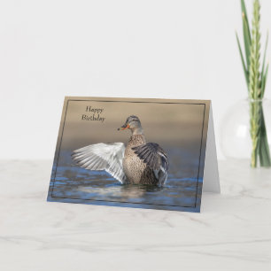 Grattis på födelsedagen Card Mallard Anka Kort