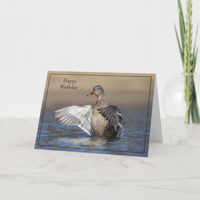 Grattis på födelsedagen Card Mallard Anka Kort (Framsida)