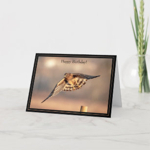 Grattis på födelsedagen Card Northern Harrier Hawk Kort