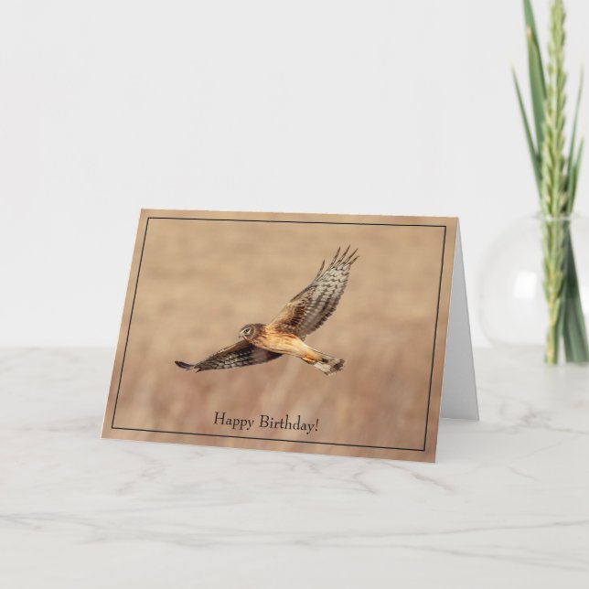Grattis på födelsedagen Card Northern Harrier Hawk Kort (Framsida)