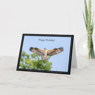 Grattis på födelsedagen Card Osprey Kort