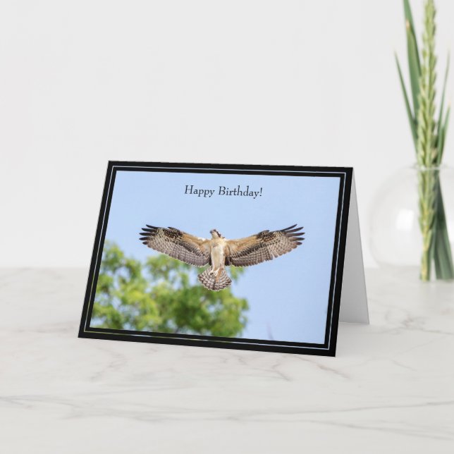 Grattis på födelsedagen Card Osprey Kort (Framsida)
