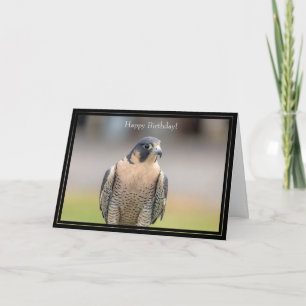 Grattis på födelsedagen Card Peregrine Falcon Kort