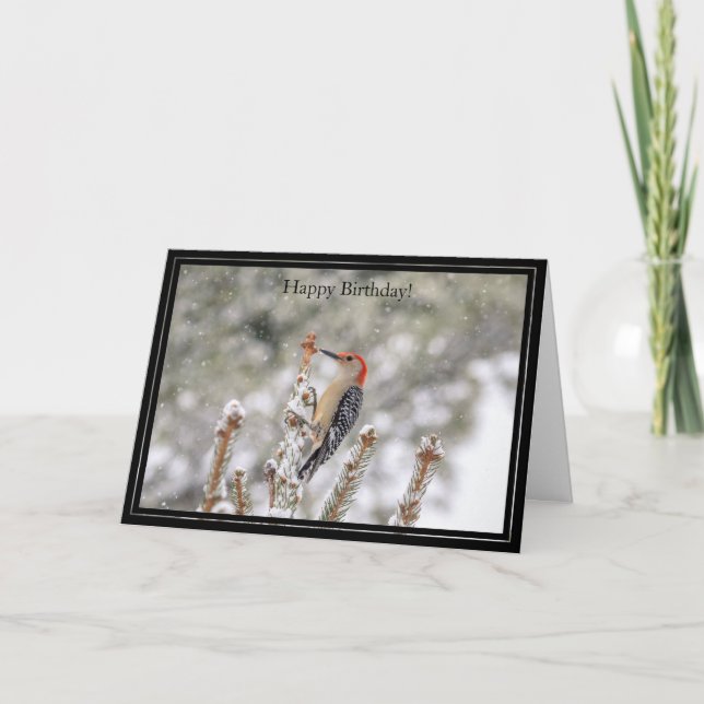 Grattis på födelsedagen Card Red-Belllied Woodpeck Kort (Framsida)