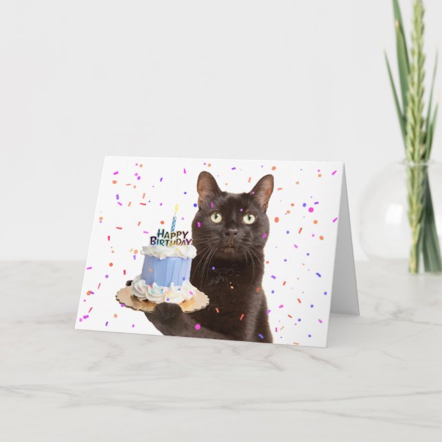Grattis på födelsedagen Cat Holding Birthday Cat Helgkort (Framsida)