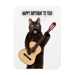 Grattis på födelsedagen Cat Singing and Spela Guit Magnet