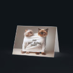 Grattis på födelsedagen Cats for Brother Kort<br><div class="desc">Två persiska katter kläms humoristiskt in i en enda vit skjorta som lyder: "VÅR GET ALONG SHIRT med missnöjda uttryck på deras ansikte. Kan användas för vilken syskon som helst. Text kan redigeras.</div>