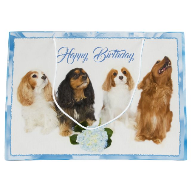 Grattis på födelsedagen Cavalier King Charles Span (Framsidan)