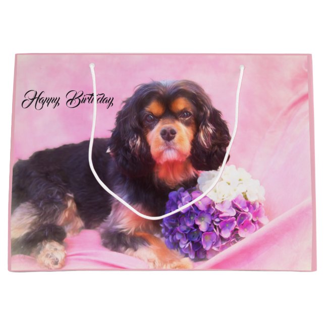 Grattis på födelsedagen Cavalier King Charles Span (Framsidan)