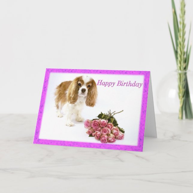 Grattis på födelsedagen Cavalier King Charles Span Kort (Framsida)