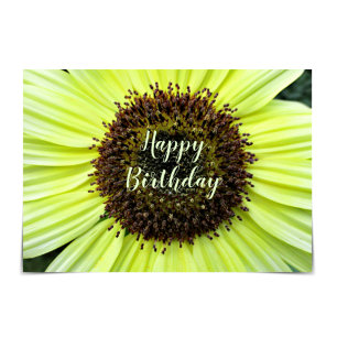 "Grattis på födelsedagen" Cheerful Solrocard Kort