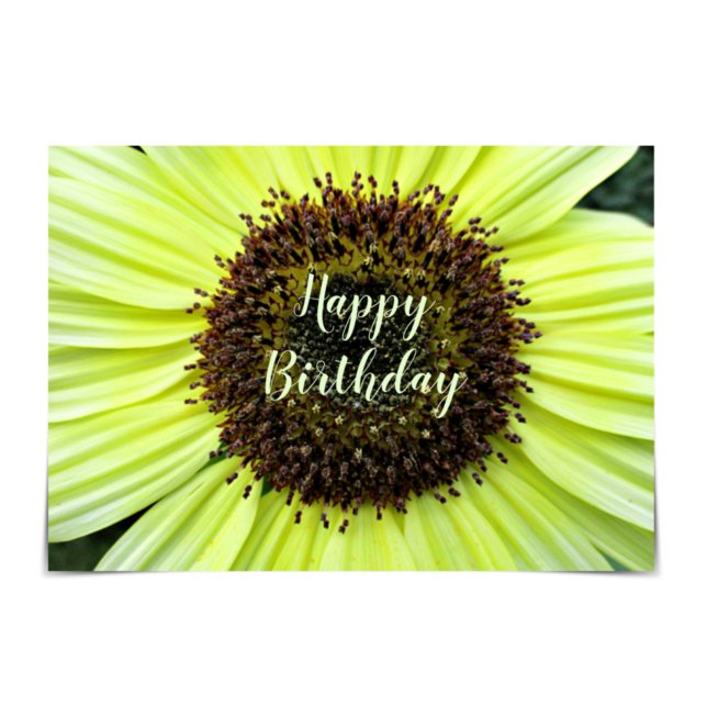 "Grattis på födelsedagen" Cheerful Solrocard Kort (Skapare uppladdad)