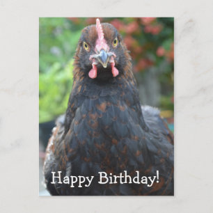 Grattis på födelsedagen Chicken... Partridge Cochi Vykort