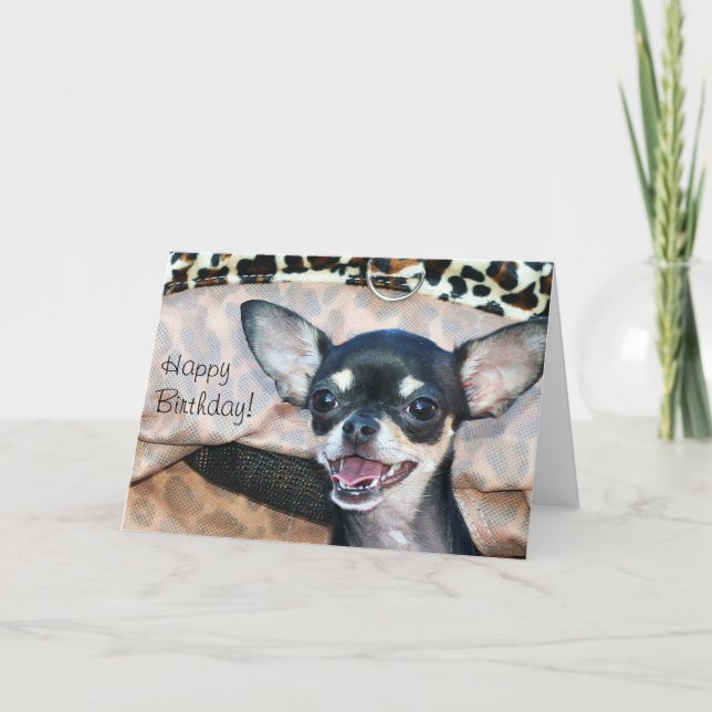 Grattis på födelsedagen Chihuahua-hälsningskort Kort (Framsida)