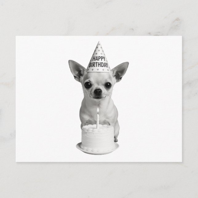 Grattis på födelsedagen Chihuahua Helg Vykort (Framsida)