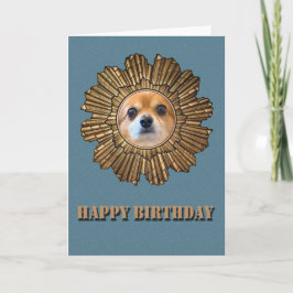 Grattis på födelsedagen Chihuahua Kort