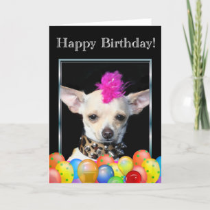 Grattis på födelsedagen Chihuahua Punk Greeting-ko Kort