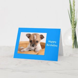 Grattis på födelsedagen Chihuahua Puppy-hälsningsk Kort