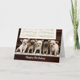 Grattis på födelsedagen Chihuahua Puppy-hälsningsk Kort