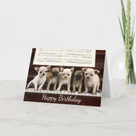 Grattis på födelsedagen Chihuahua Puppy Hund ( Che Kort