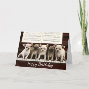 Grattis på födelsedagen Chihuahua Puppy Hund ( Che Kort