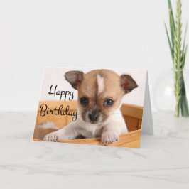 Grattis på födelsedagen Chihuahua Puppy Hund - Ver Kort
