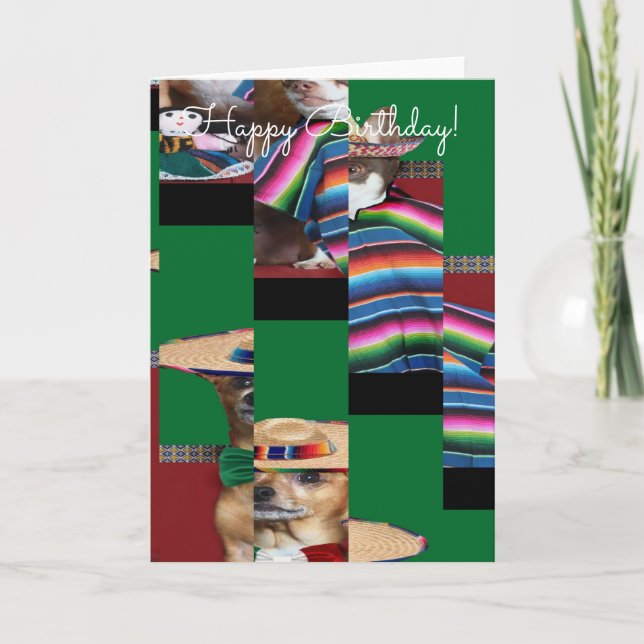 Grattis på födelsedagen Chihuahuas-kort Kort (Framsida)