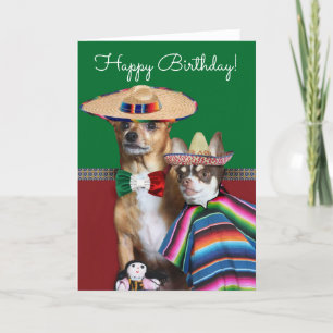 Grattis på födelsedagen Chihuahuas-kort Kort