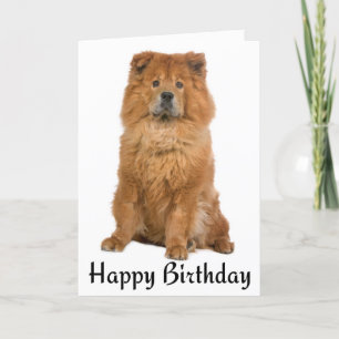 grattis på födelsedagen Chow Chow Puppy Hund Kort