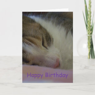 Grattis på födelsedagen Christian Card Cat Kort