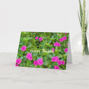 Grattis på födelsedagen Christian Card Pinks Kort
