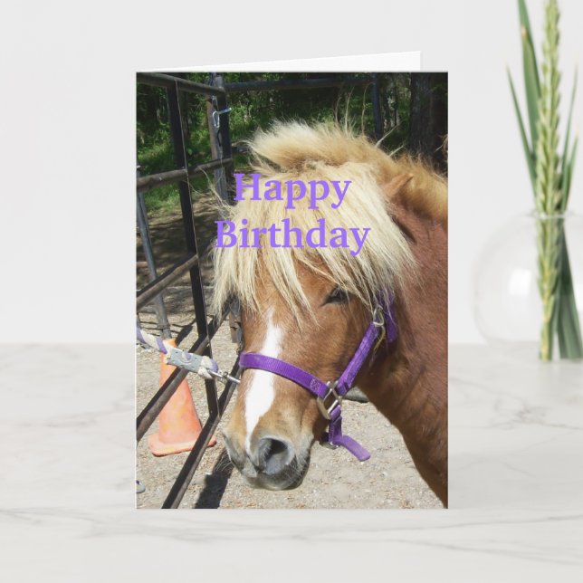 Grattis på födelsedagen Christian Card Pony Kort (Framsida)