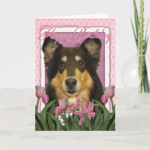 Grattis på födelsedagen - Collie - Caroline Kort