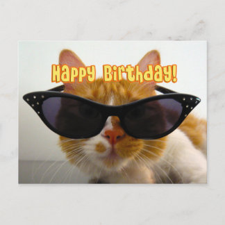 Grattis på födelsedagen - Cool Cat i solglasögon P Vykort