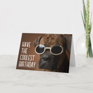 Grattis på födelsedagen Cool Hund med Solglasögo Kort
