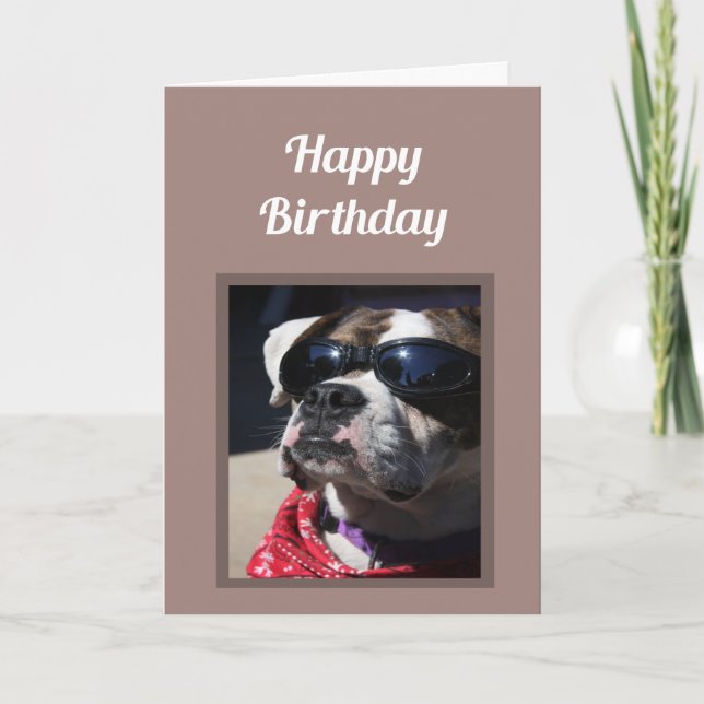 Grattis på födelsedagen Coola Roligt Boxer Hund Hä Kort (Framsida)