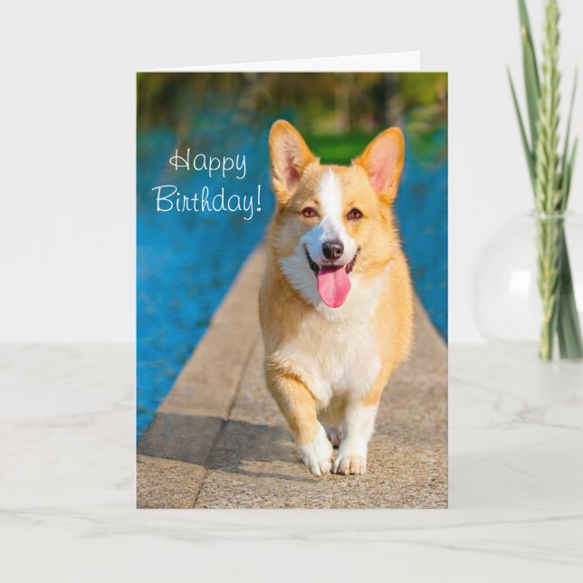 Grattis på födelsedagen Corgi Hund Kort (Framsida)